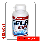 GELACYS