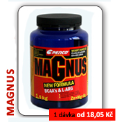 MAGNUS NEW FORMULA