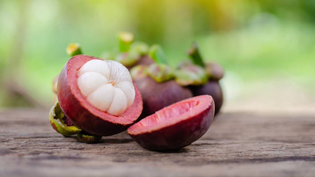 Kĺbová výživa  MANGOSTEEN  60 kapsúl č.3