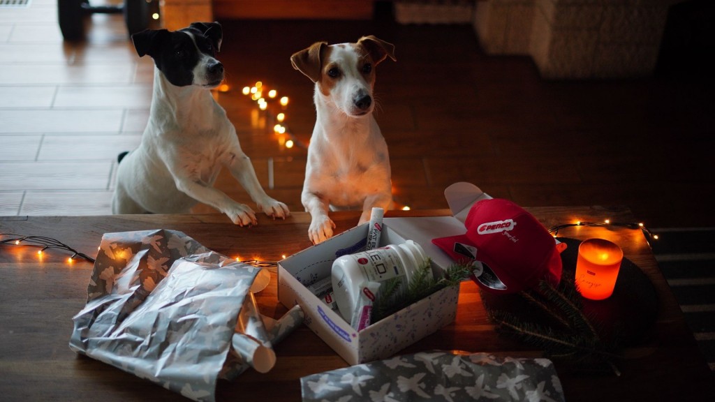 TIPY NA DÁRKY PRO SPORTOVCE